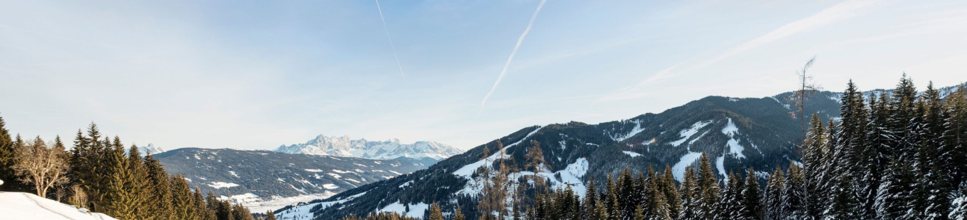 🚕 Taxi Alps Flachau - Taxi Flachau Salzburg. Taxifahrten in Flachau, Wagrain-Kleinarl, Altenmarkt-Zauchensee, Schladming, Obertauern.